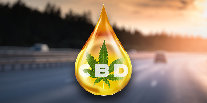 CBD et conduite : attention aux contrôles