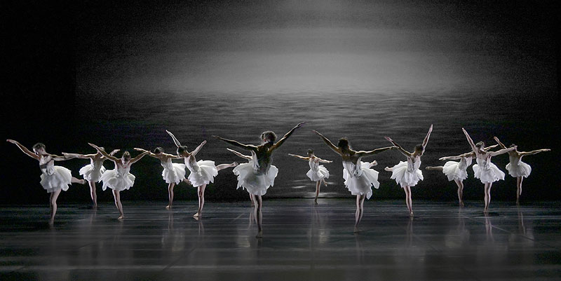 Le Lac des Cygnes à Cannes