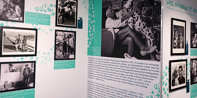 Des animaux et des Stars à Saint-Tropez