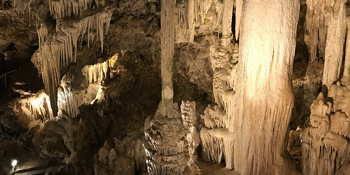 Le Jardin Exotique de Monaco