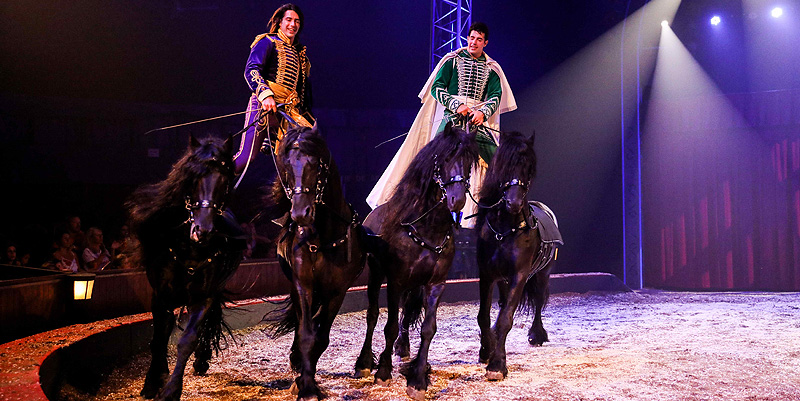 Le chapiteau Alexis Gruss : tournée 2019