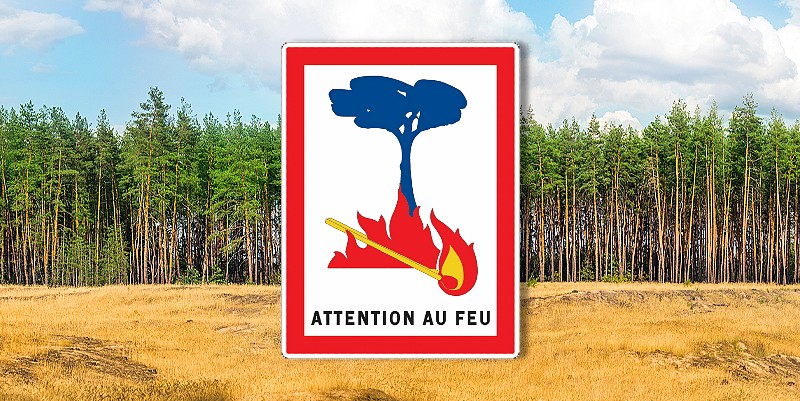 illustration de Attention aux feux de forêt dans les Landes