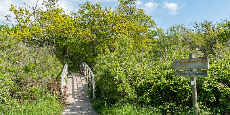 Découverte du domaine de Certes et de Graveyron en Gironde