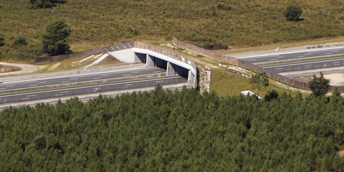 illustration de Les passages protégés pour la faune sur autoroute