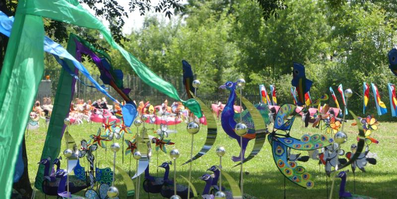 La Fête du vent à Terres d'Oiseaux : des oiseaux et des cerf-volants dans le ciel de l'estuaire