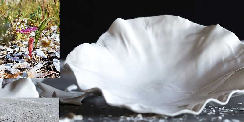 La coquille d'huître : un matériau pour le BTP