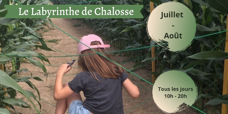 Au cœur du labyrinthe de Chalosse