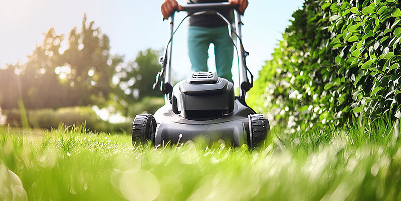 Tondeuses robots ou classiques : les meilleurs modèles pour votre jardin en 2024 ?