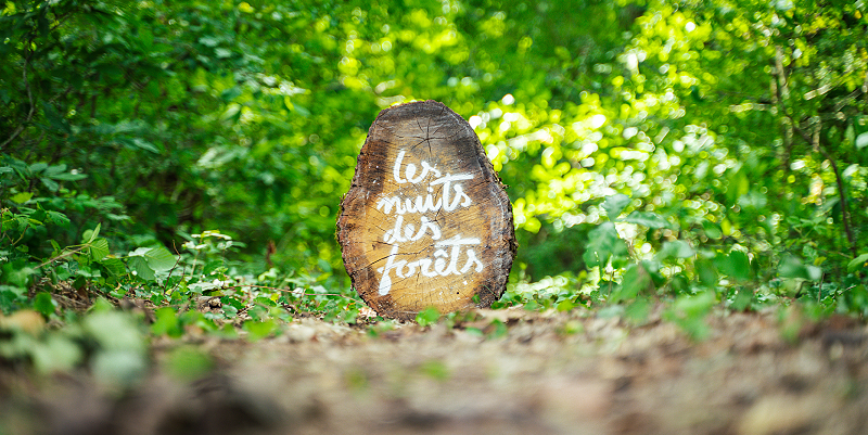 Les Nuits des Fôrets dans les Landes