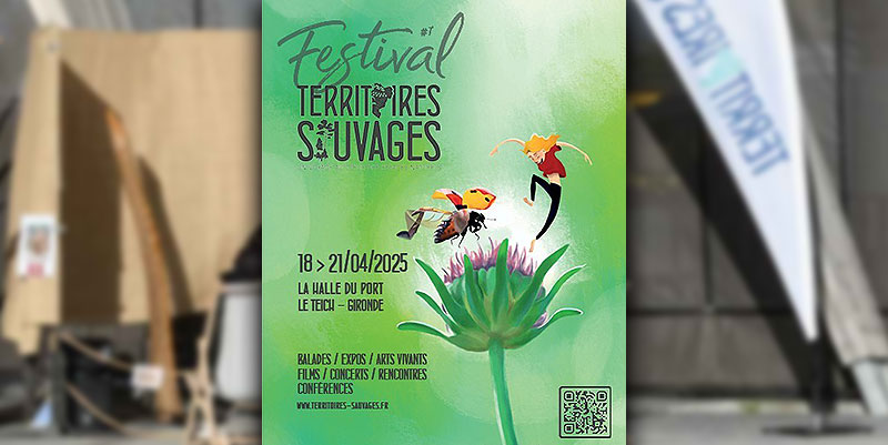 Le Festival Territoires sauvages dans le Bassin d'Arcachon pour embrasser la nature