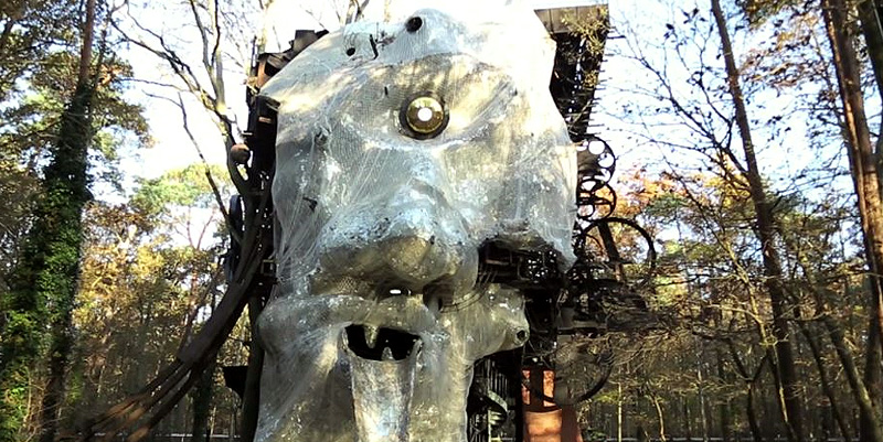 Le Cyclop, le géant de la forêt