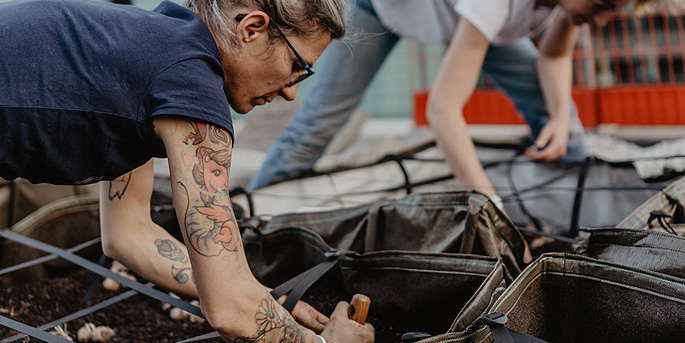 Du safran sur les toits de Paris