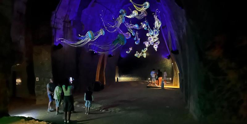 Près de Saumur, "Le Bal des méduses" éclaire les profondeurs des Faluns