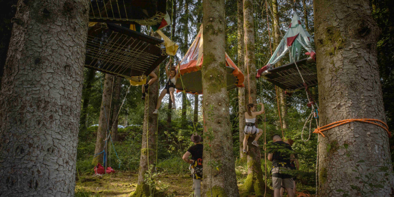 Les nuits des forêts partout dans le Sud-Est