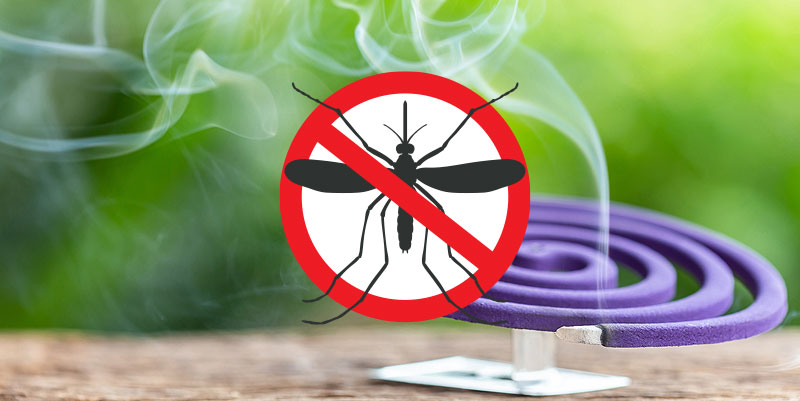 Passer l'été sans se faire piquer