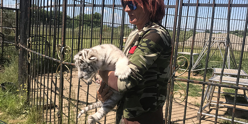 Une maison de retraite pour les fauves