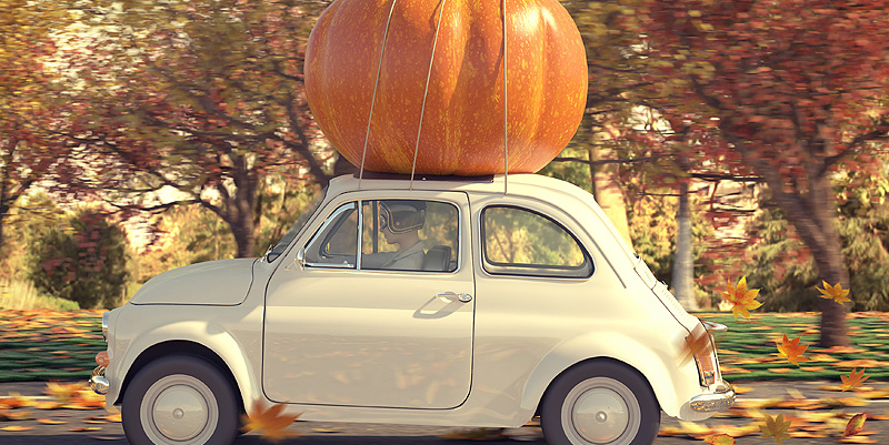 les sorties du 31 octobre au 3 novembre