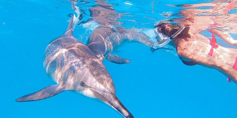 Des aventures animalières écoresponsables