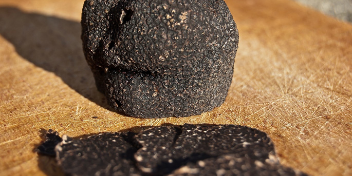 La Maison de la truffe dans le Var