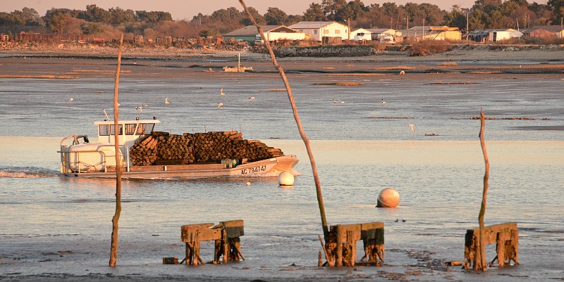 ''La Pointe de l'Aiguillon'' à Arcachon