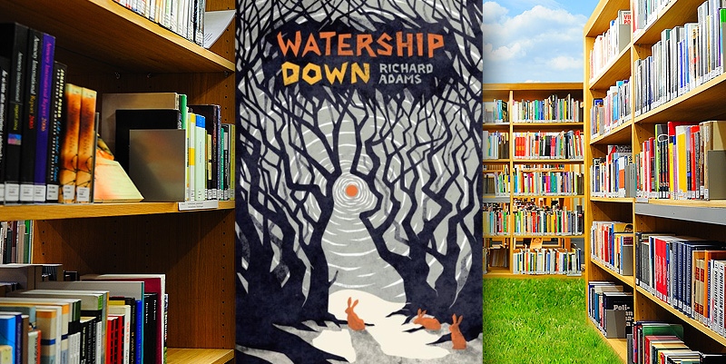 Caractères, une librairie, café, social club à Mont-de-Marsan