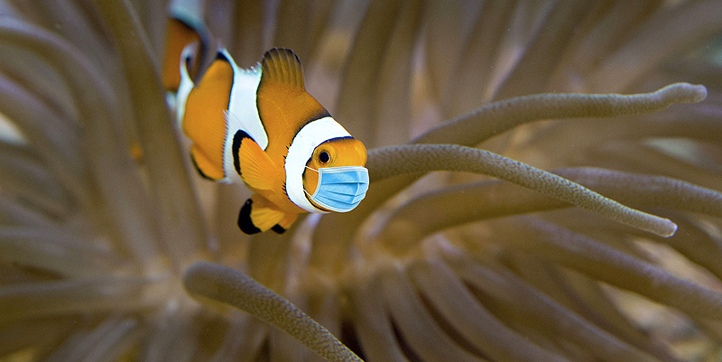 Le Musée océanographique de Monaco