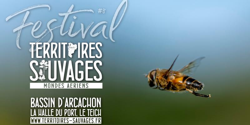 ''Territoires sauvages'' : des balades nature pour tous les publics au bassin d'Arcachon