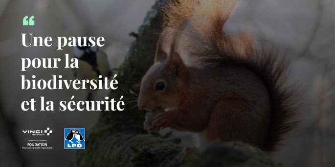 Allain Bougrain-Dubourg : préserver le vivant à tout prix