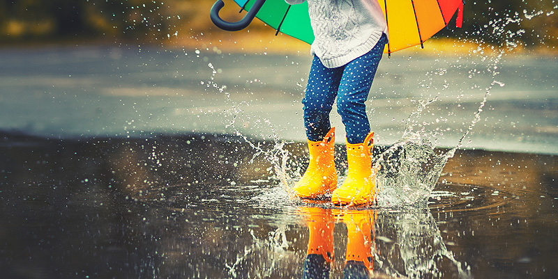 Les sorties du 14 au 27 octobre