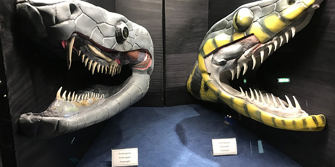 Le Palais de la Découverte à Paris