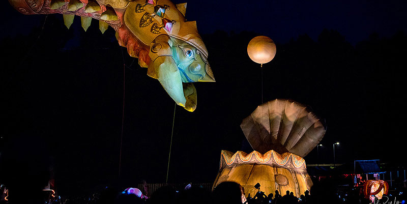 Marée Haute dans le Tarn