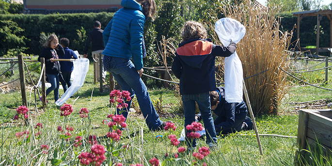 Le Naturoptère : passion nature !
