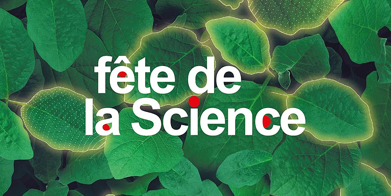 Les sorties du 3 au 6 octobre