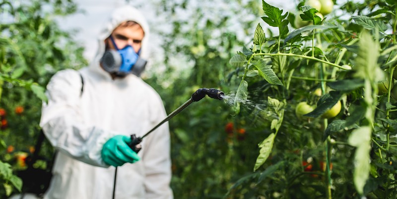 Les pesticides très présents dans nos aliments