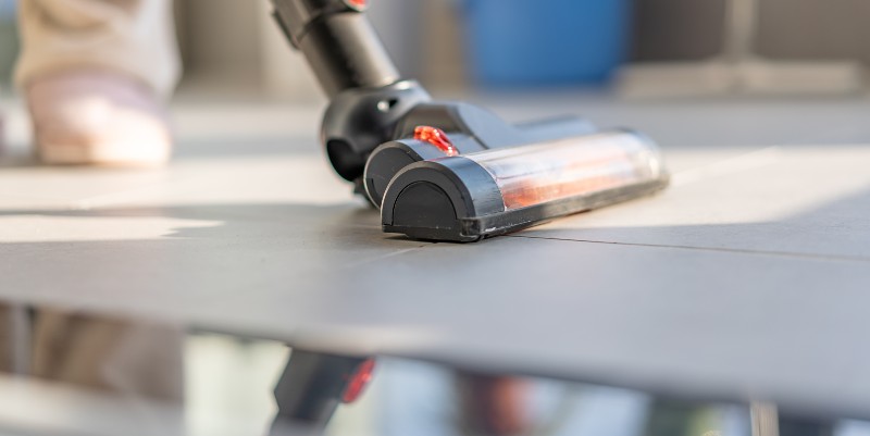 La grande famille des nettoyeurs de sol