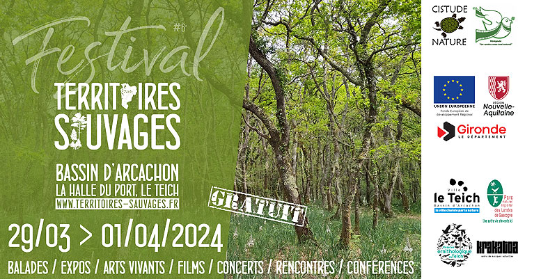 Près d'Arcachon, la forêt et ses secrets dévoilés