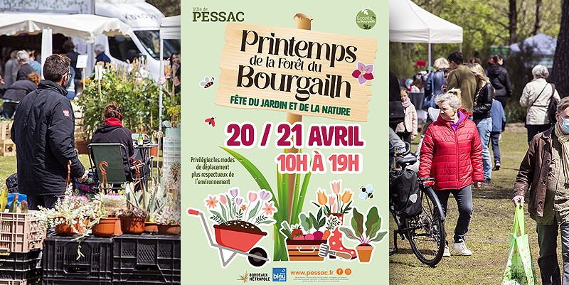 La Forêt du Bourgailh près de Bordeaux