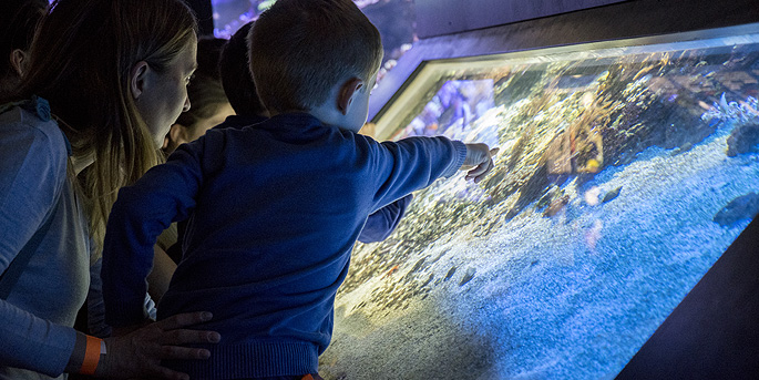 Nouveau look pour l'aquarium du Palais de la Porte Dorée