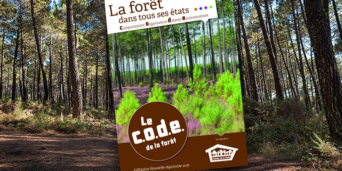 Le Code de la Forêt