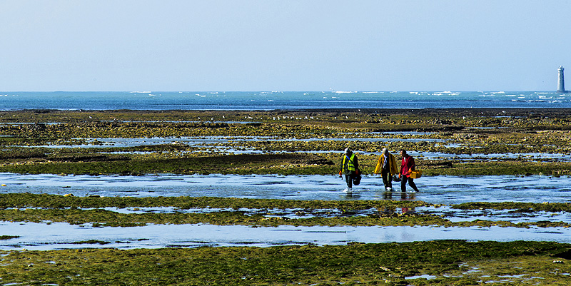 La Charente-Maritime, de Saint-Césaire à l’île d’Oléron