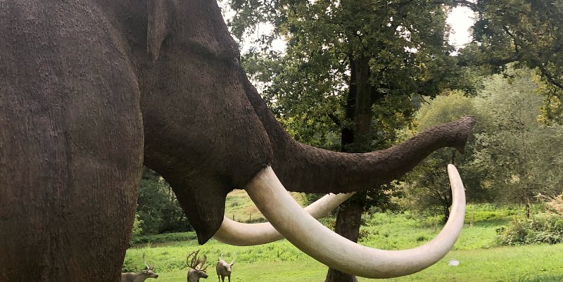 Le PréhistoSite de Brassempouy