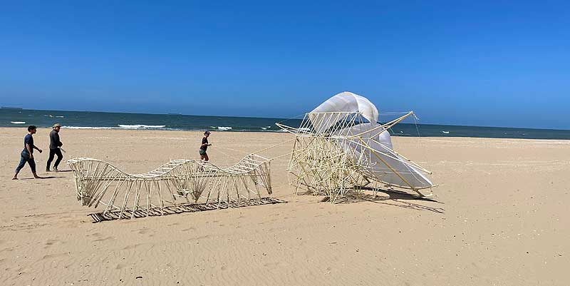 Festival des Arts de Bordeaux