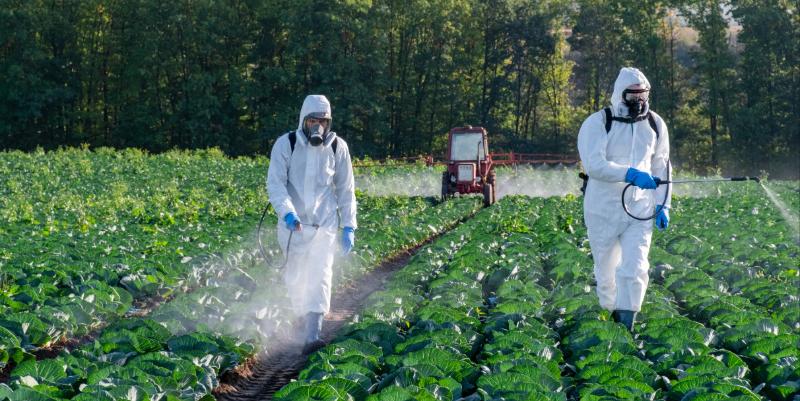 Résidus de pesticides : le bio en tête, les produits français mieux placés