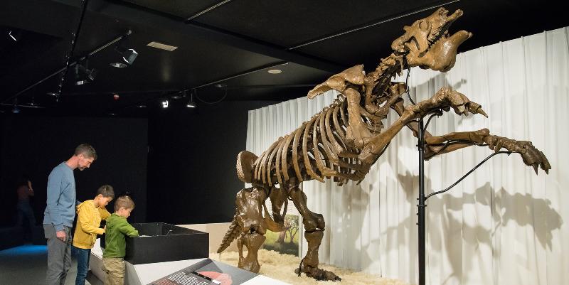 illustration de Géants, la nouvelle exposition du Muséum de Toulouse : 8 animaux préhistoriques méconnus