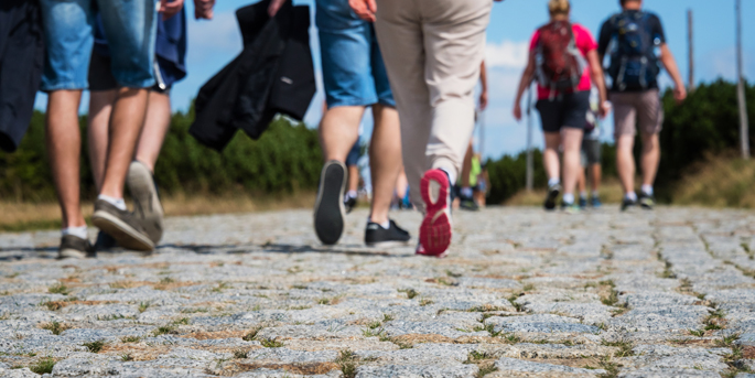 Les sorties du 25 au 28 avril