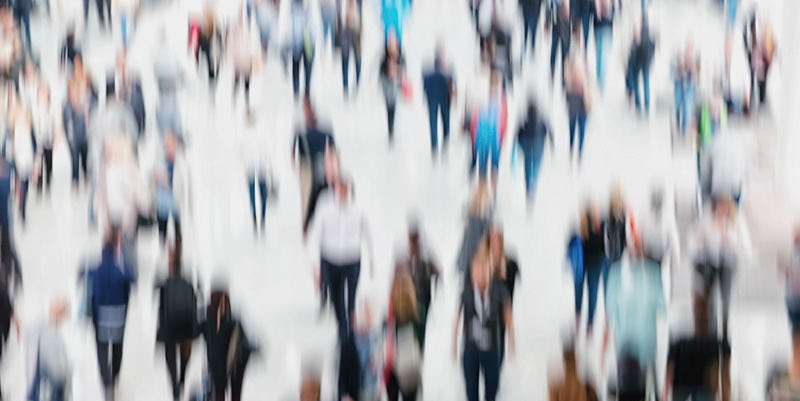 Les sorties du 15 au 17 novembre