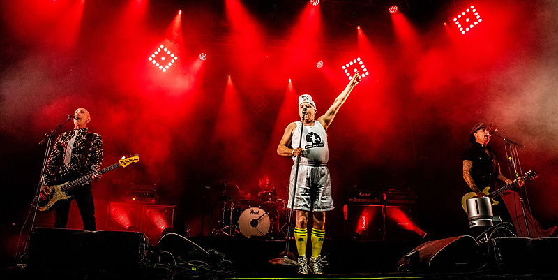 Au nom du rock, des filles et d’Elmer Food Beat