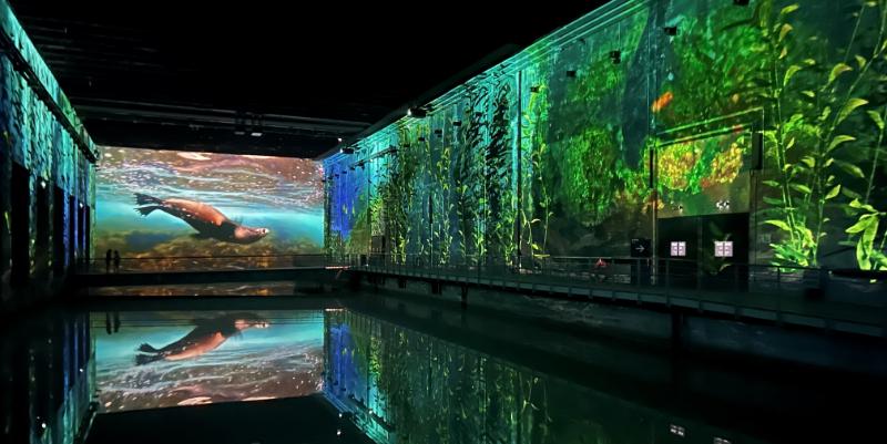 Une plongée artistique dans les océans à Bordeaux