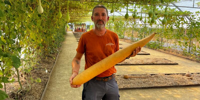 Gourdes géantes et curiosités végétales au Potager extraordinaire de La Roche-sur-Yon