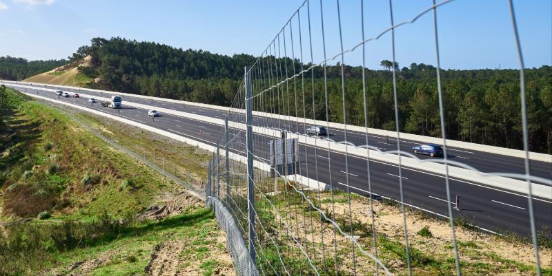Protéger et écarter les animaux de l'autoroute : les secrets des clôtures